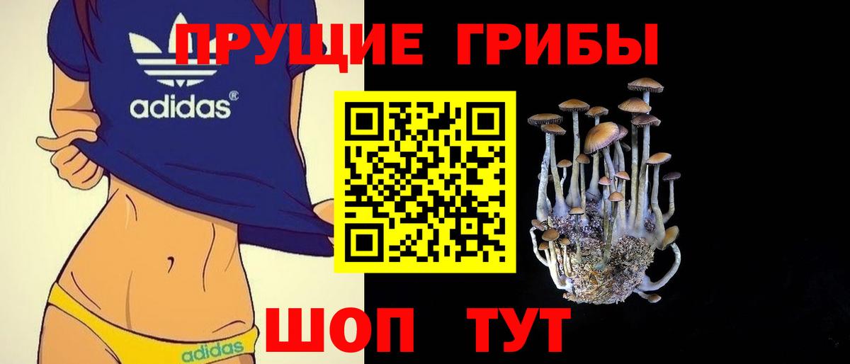 Галлюциногенные грибы мицелий  Вход с VPN  сколько стоит  Ливны 